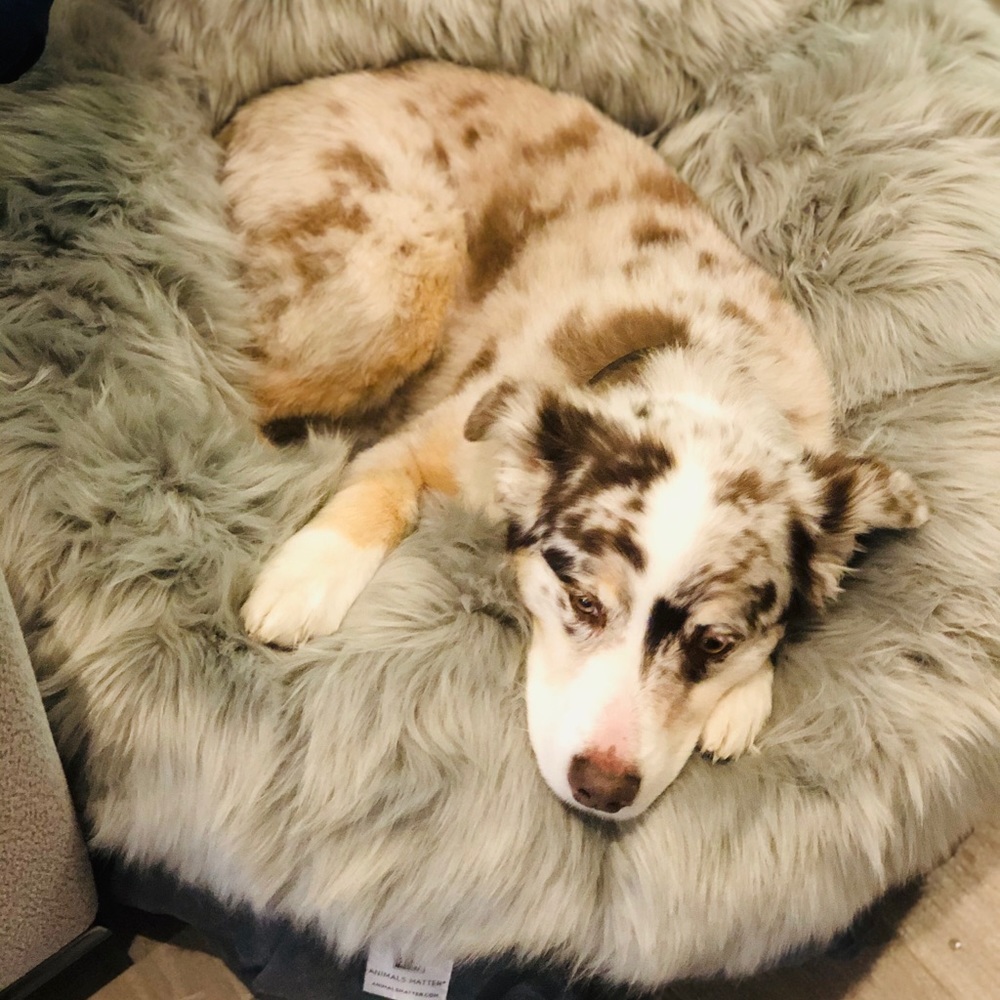 Meet your Posher, Gisele